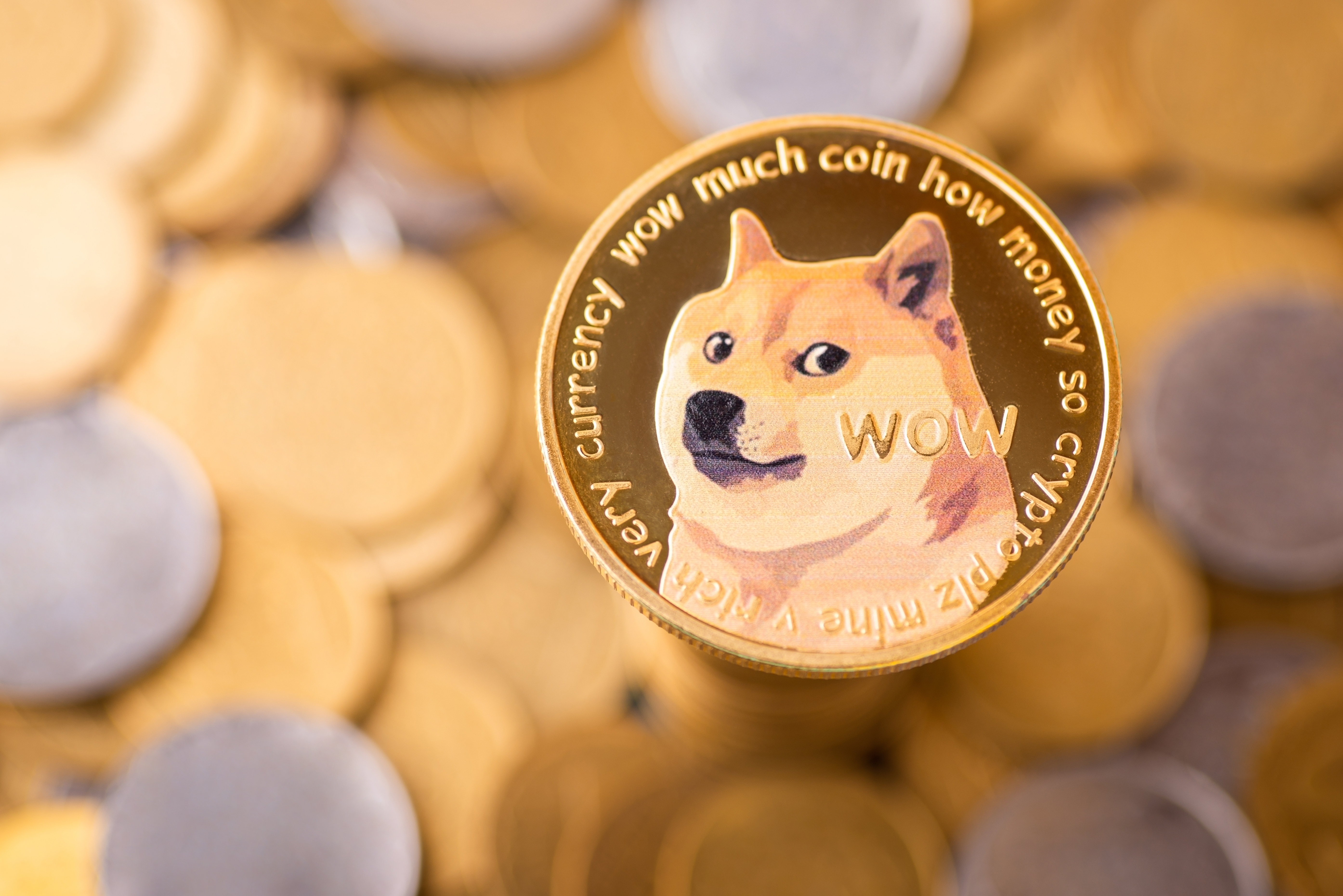 The Dogecoin meme logo