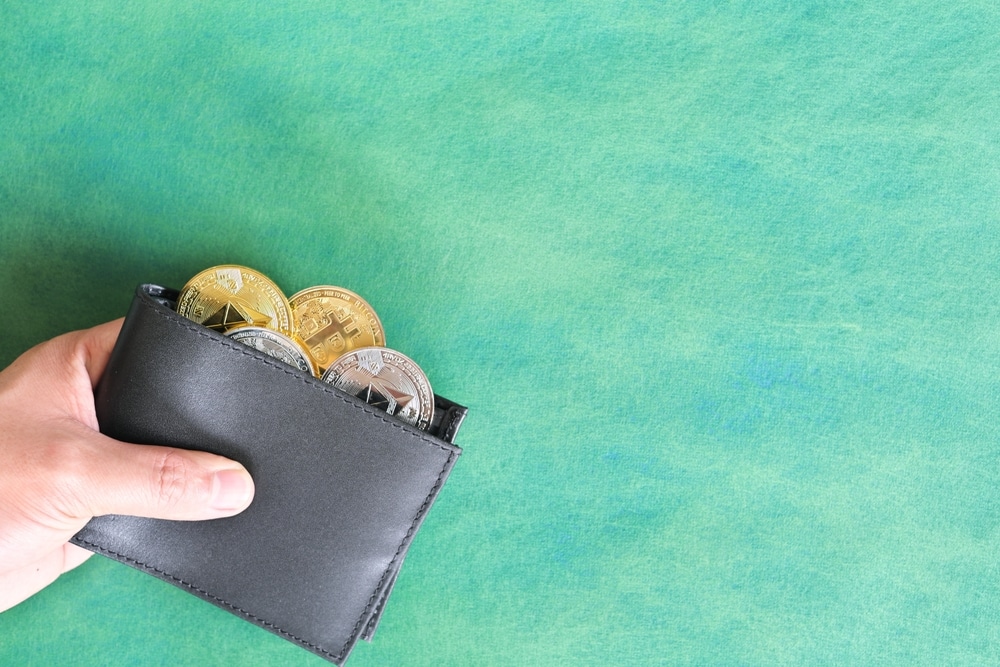 Best Ton Wallets