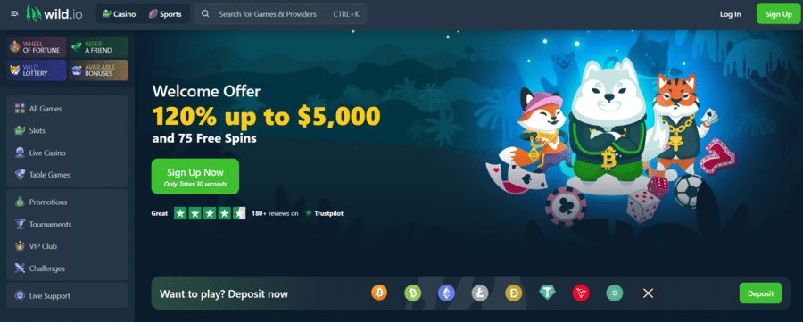 Wild.io combines deposit bonuses, cashback, and free spins to give players complete freedom of choice